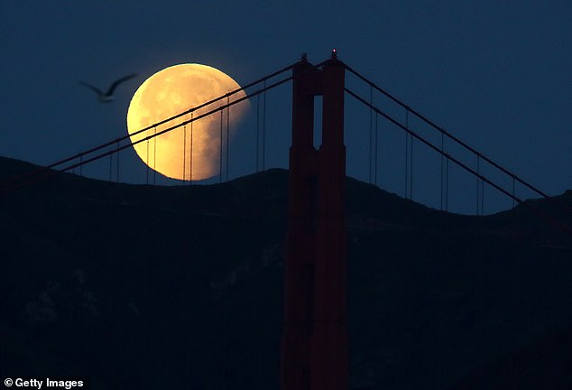 Legend has it that ghosts and spirits are more active on Halloween, but these demonic entities are not the only ones to appear on October 31 - a rare blue moon is also raised on the same day.  Pictured is a blue moon hanging in 2018 in San Francisco, California.