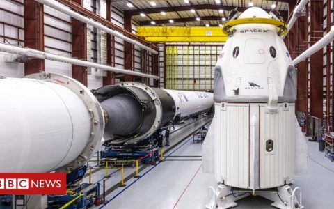 Nasa SpaceX launch: What is the Crew Dragon?