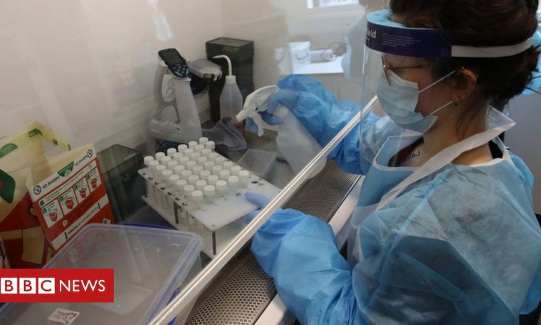 Coronavirus: 'Very significant' resurgences in Europe alarm WHO