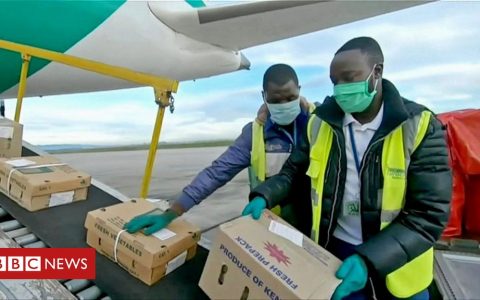 Coronavirus: How Africa's supply chains are evolving