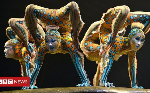 Cirque du Soleil cuts 3,500 jobs to avoid bankruptcy