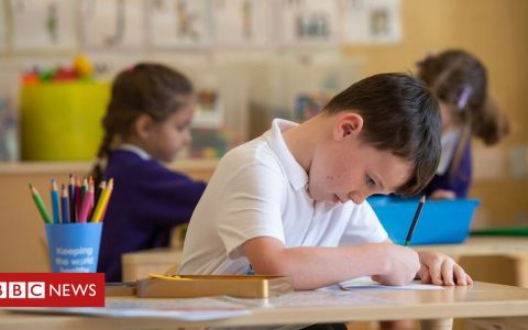 Coronavirus: £1bn catch-up tutoring fund for England's pupils