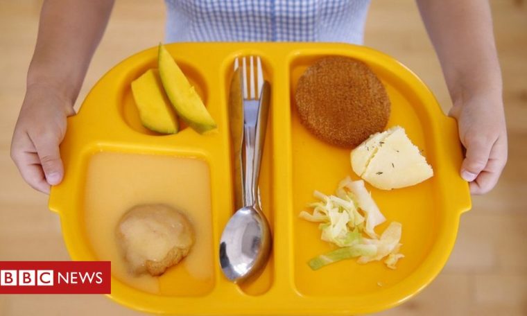 Coronavirus: Free school meals money not signed off