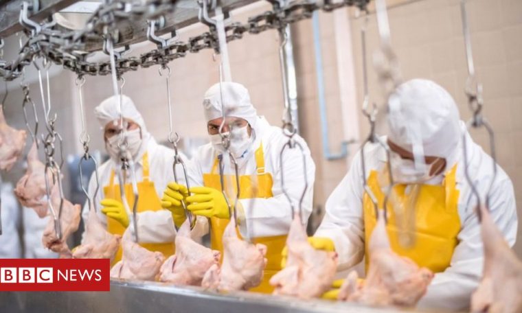 Coronavirus: Why have there been so many outbreaks in meat processing plants?
