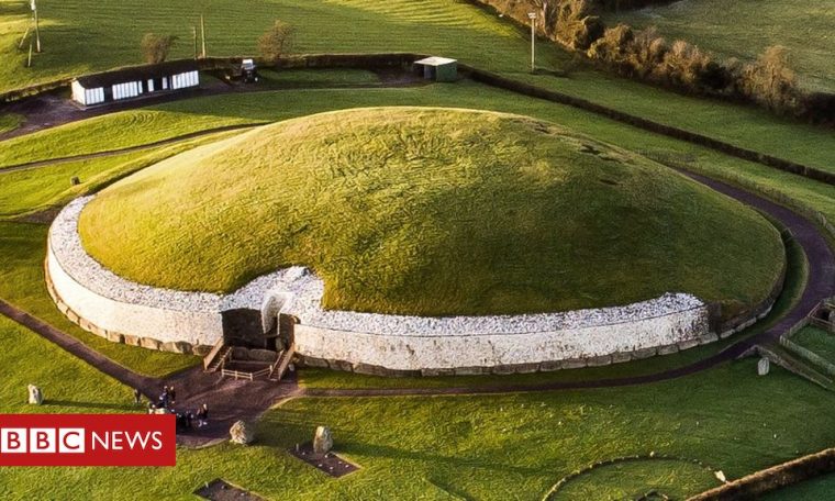 DNA study reveals Ireland's age of 'god-kings'