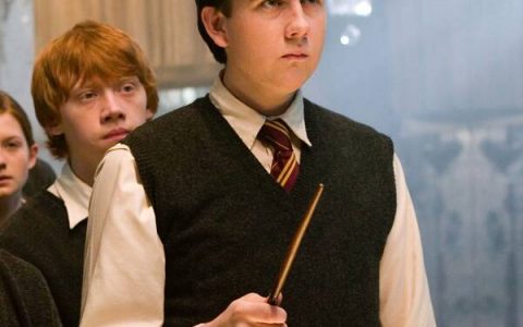 Matthew Lewis' Jaw-Dropping Transformation and More Harry Potter Kids Then and Now