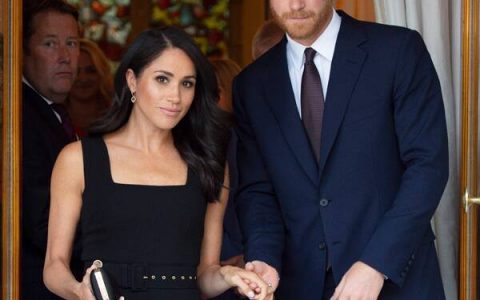 Prince Harry and Meghan Markle Support Campaign to Boycott Facebook Advertising