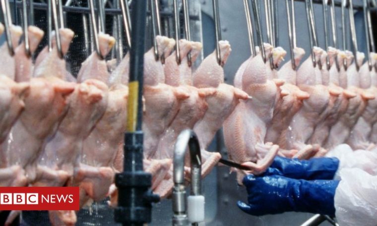 Waitrose will never stock chlorinated chicken, says boss