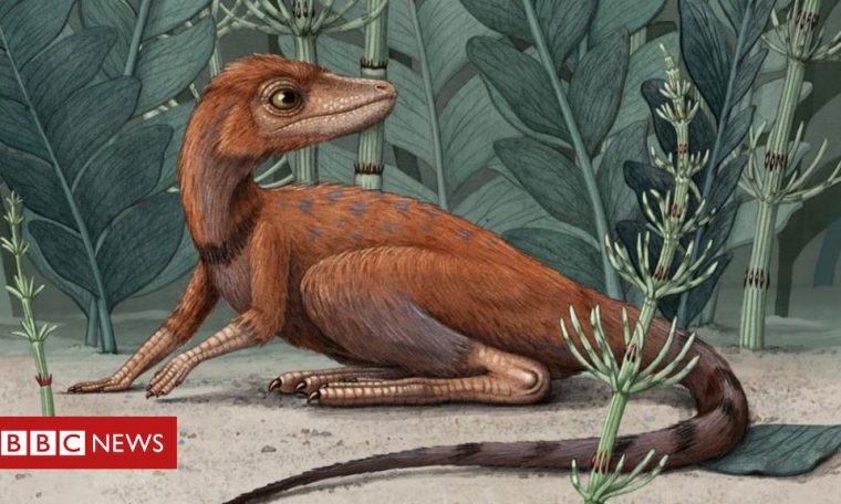 Dinosaur ancestors 'may have been tiny'