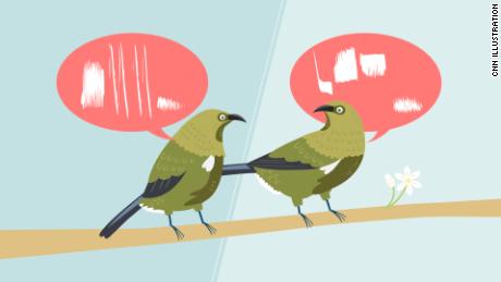 Birds aren&#39;t all singing the same song. They have dialects, too