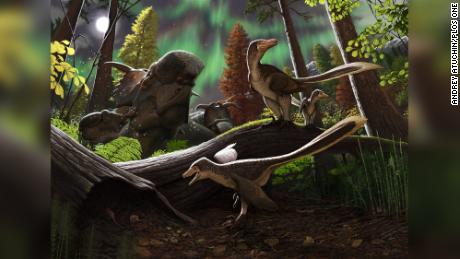 Baby raptor discovered in Alaska may have been a permanent resident of the ancient Arctic