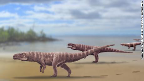 &#39;Enigmatic&#39; footprints reveal prehistoric crocodile that walked on two legs