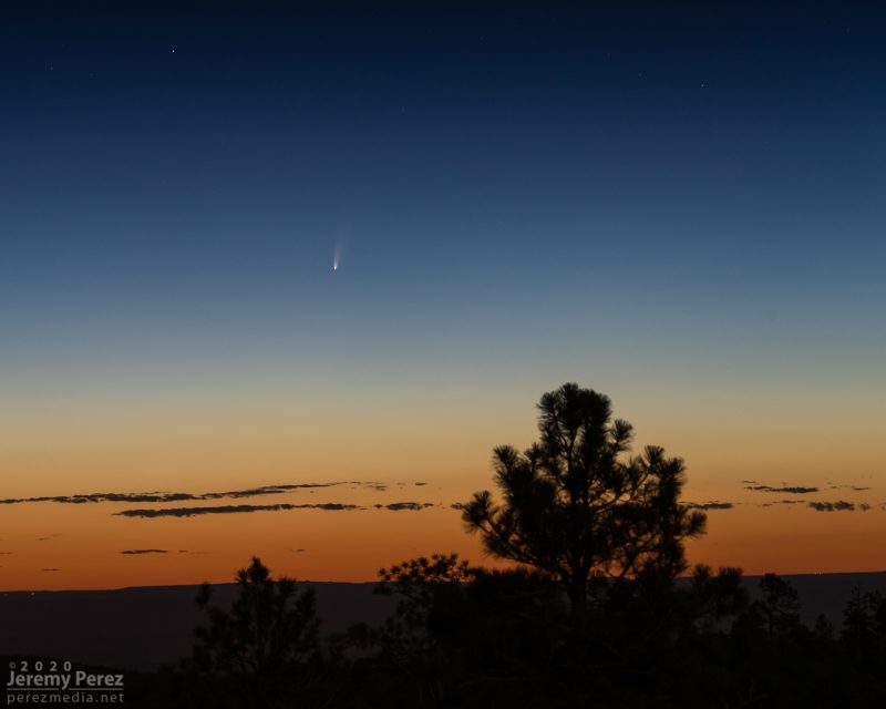 Comet in twilight over desert landscape with evergreen tree in foreground.