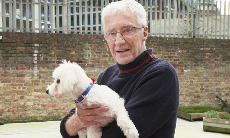 Paul O'Grady's For the Love of Dogs canned as Battersea does not have enough dogs