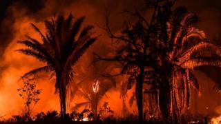 Fire burning along a highway, near Itaituba, Para state, Brazil, September 2019