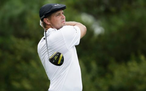 Bryson DeChambeau argues for ball drop over alleged fire ants, animal-burrowing holes