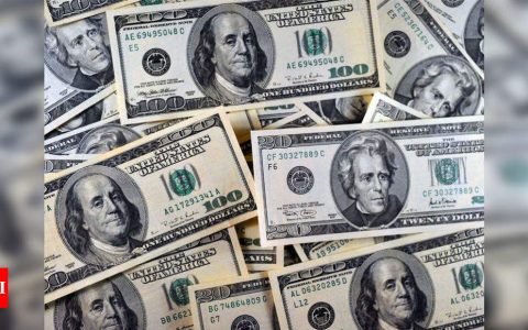 Forex reserves hit fresh all-time high, touch $513.25 billion