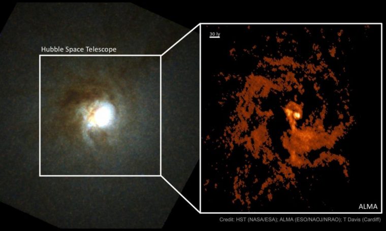 Where did the supermassive 'Mirach's Ghost' black hole come from?