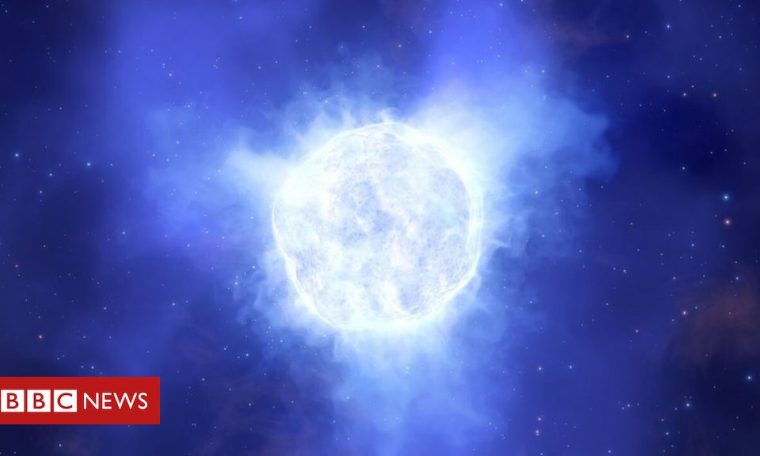 Mystery over monster star's vanishing act