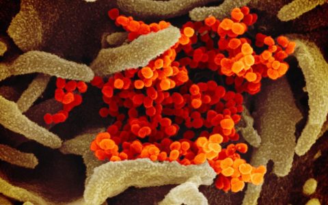 The latest news on the coronavirus pandemic