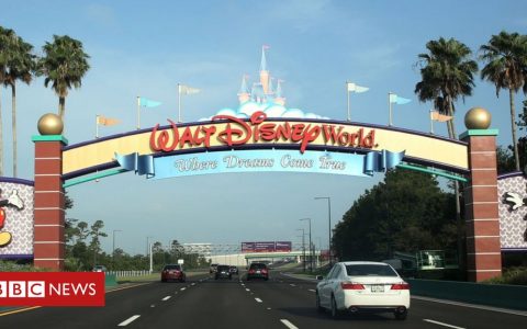 Walt Disney World reopens in Florida amid Covid-19 surge