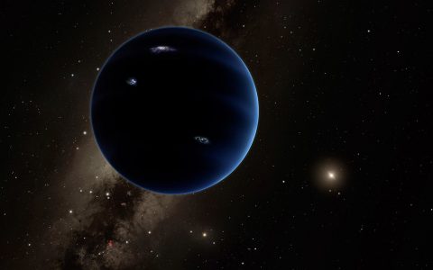 Could Planet 9 be a primordial black hole?