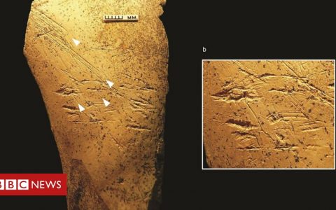 Europe's earliest bone tools found in Britain