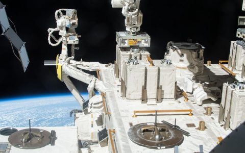 Bacteria from Earth can survive in space, study says
