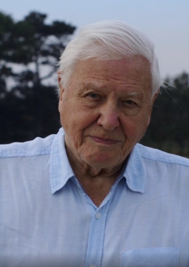 Attenborough's first post was a video message. 