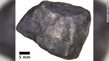 The meteorite fragments that fall on Strawberry Lake contain valuable organic compounds.