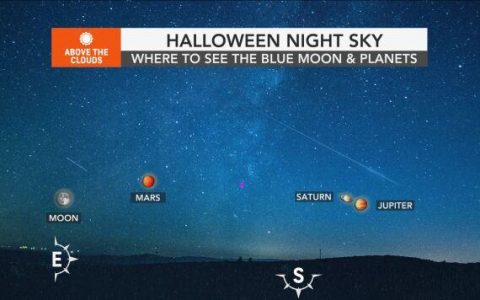 Scary blue moon to light up the sky on Halloween |  Sign up now