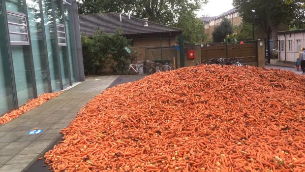 This is local London: 29 tons of carrots have been dumped outside Goldsmiths University