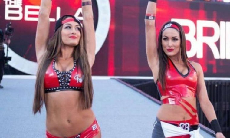 WWE's Total Bella Baby Reveals Milestones