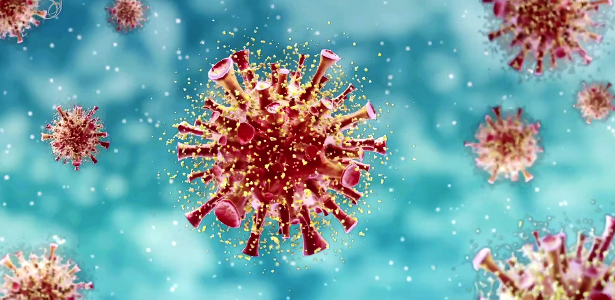 France, Sweden, Spain, Italy and Japan detect new strain of coronavirus - 12/26/2020