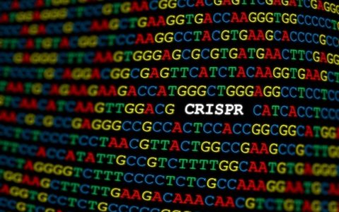Researchers have promised to address the problem of unwanted changes to CRISPR-Case 9