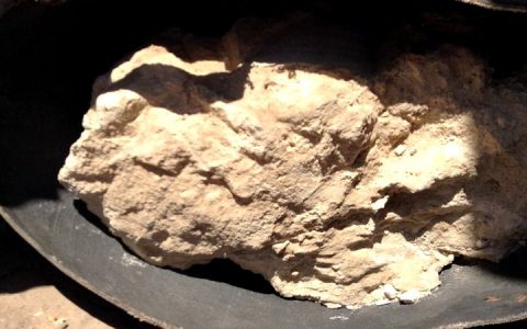 The oldest cheese history ever found in the world