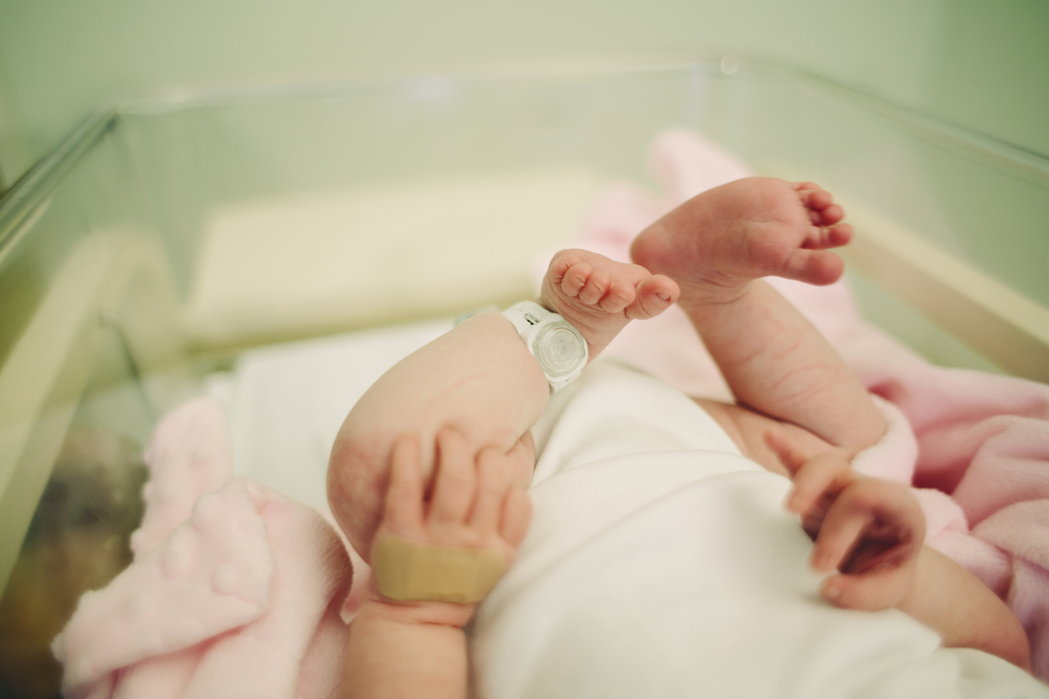 America had the lowest birth in 35 years in 2019
