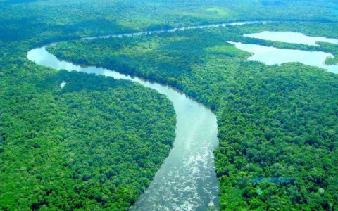 Brazil seeks help from America to fight deforestation in Amazon