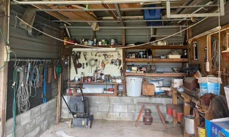 Python camouflage defies the Internet in a garage.  Can you have it  |  Unusual world