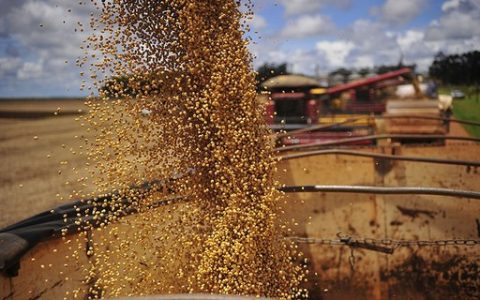 CNA - exportspoca Negócios says Agribusiness exports increased 2.8% to US $ 6.5 billion in February