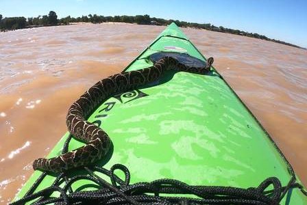 Cobra frightens river kayak instructor in Argentina