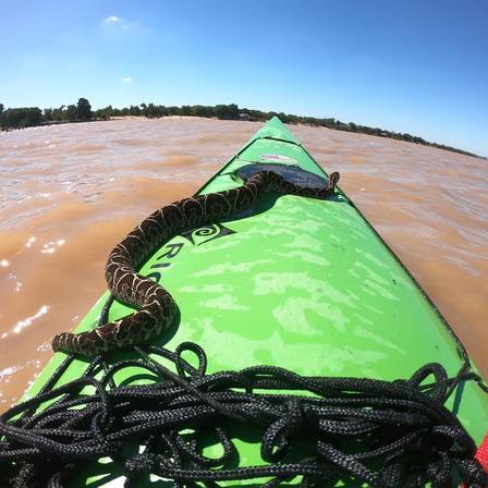 Cobra frightens river kayak instructor in Argentina