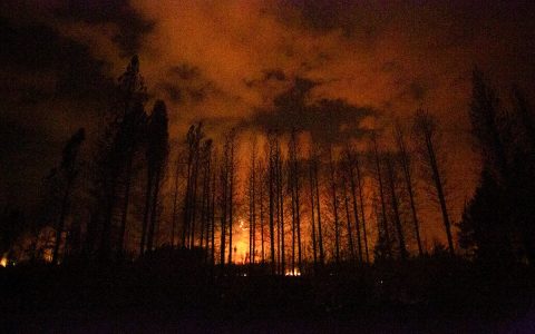 7 forest injured and 15 missing Argentina in Patagonia |  world