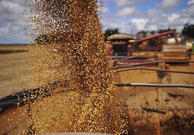 Harvested soybeans;  Agribusiness;  Harvesting;  Grain planting;  Field work;  (Photo: Ernesto de Souza / Editor Globo)