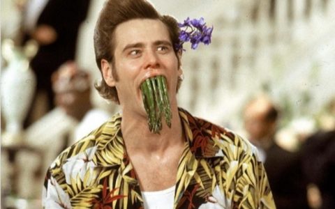 Jim Carrey volta a interpretar Ace Ventura 27 anos depois - Reprodução/Instagram