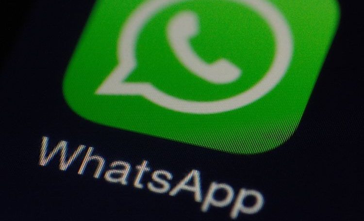 WhatsApp desktop version is finally a video call feature, here's how to use it