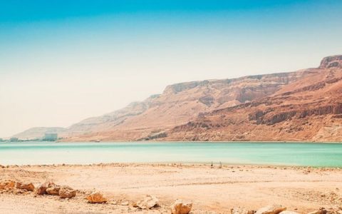 Dead Sea Scrolls: Artificial Intelligence Unravels Mystery |  Technology