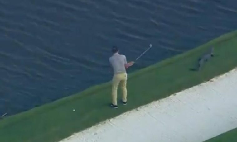 The golfer plays next to a crocodile in tournaments in the United States;  Watch video