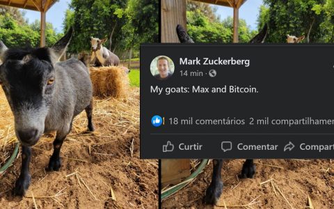Mark Zuckerberg says that he has a goat named Bitcoin and he posts a picture on Facebook