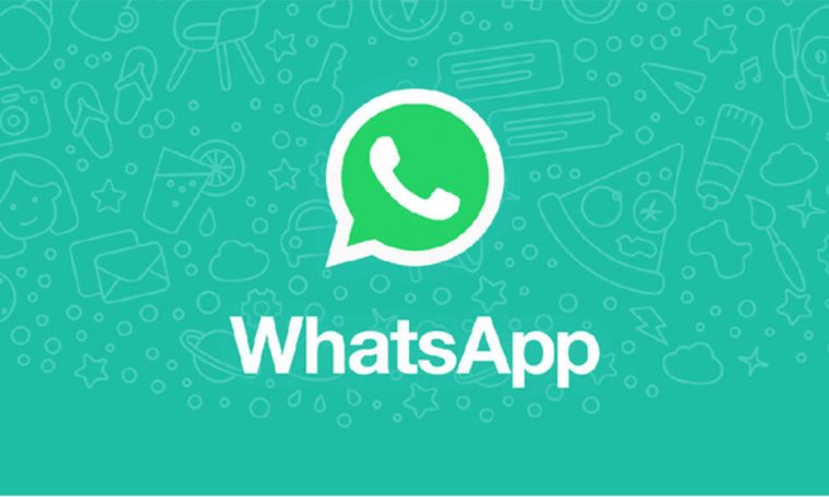 WhatsApp: How to know if you have already accepted the new terms of the app?  Then you can validate it